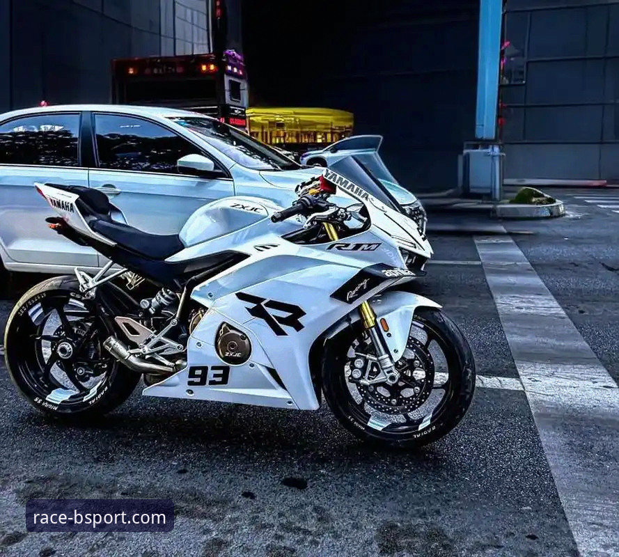 bsport手机版iOS版 世界超级摩托车锦标赛观赛实用指南:德比斯最后一圈逆袭夺冠全解析